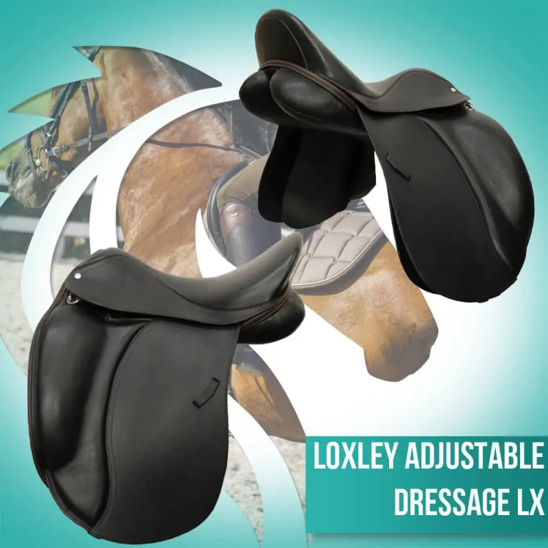 Loxley Dressage LX